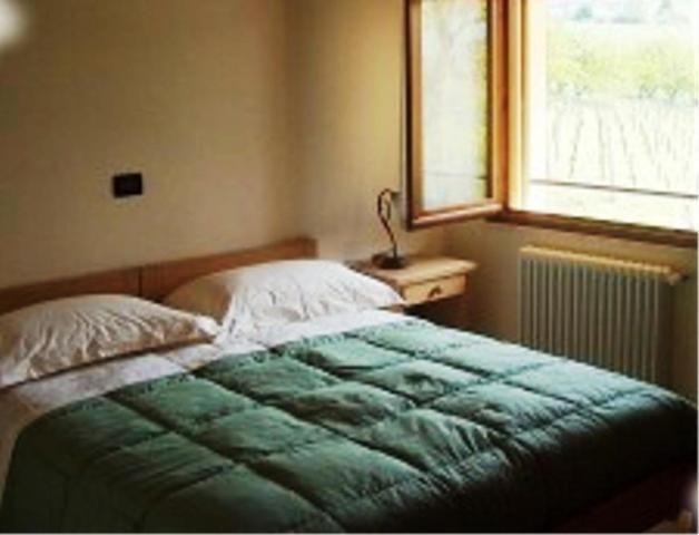Agriturismo Macin เชซานา ภายนอก รูปภาพ